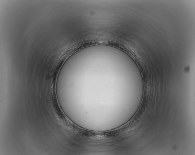 X0000090930594200707301116