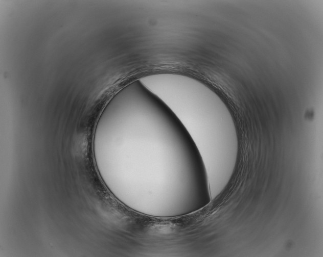 X0000090930595200707301116
