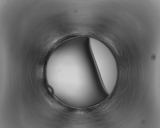 X0000090930596200707301116