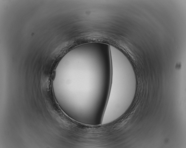 X0000090930597200707301116
