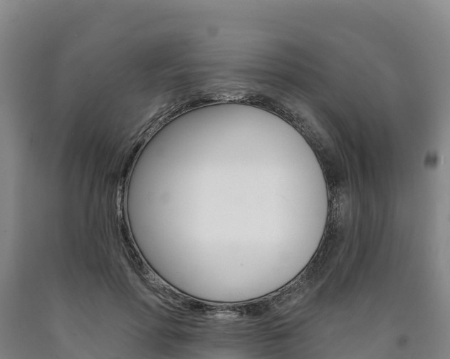 X0000090930598200707301116