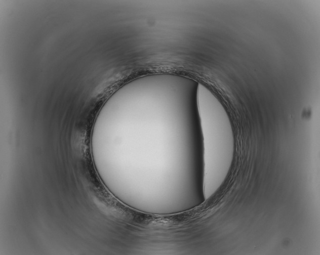 X0000090930599200707301116