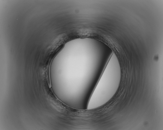 X0000090930601200707301116
