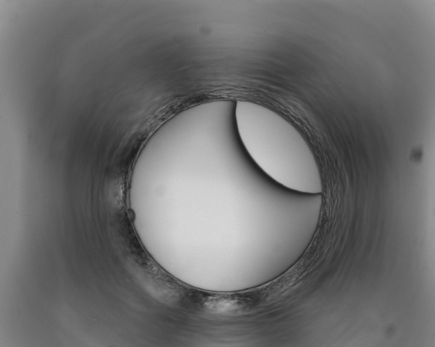 X0000090930602200707301116