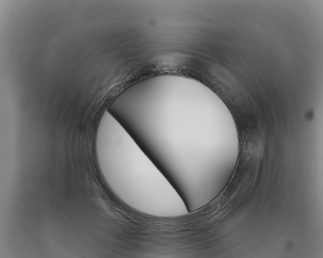 X0000090930603200707301116