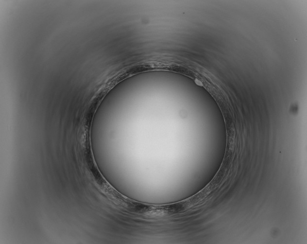 X0000090930604200707301116