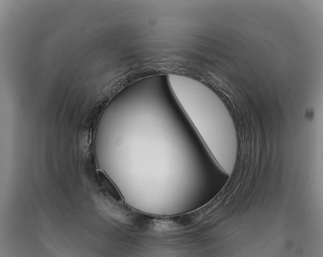 X0000090930605200707301116