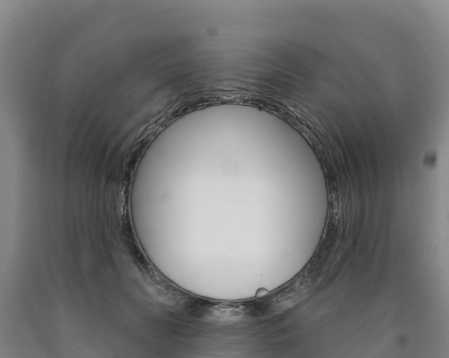 X0000090930606200707301116