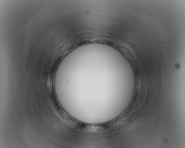 X0000090930607200707301116