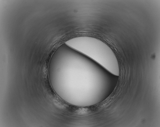 X0000090930609200707301116