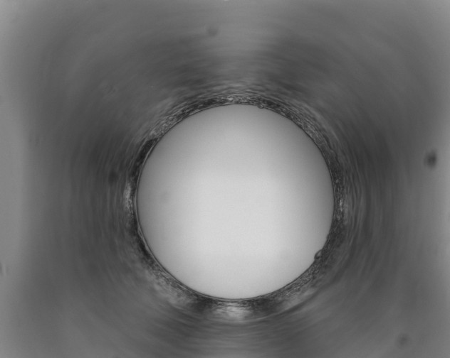 X0000090930610200707301116