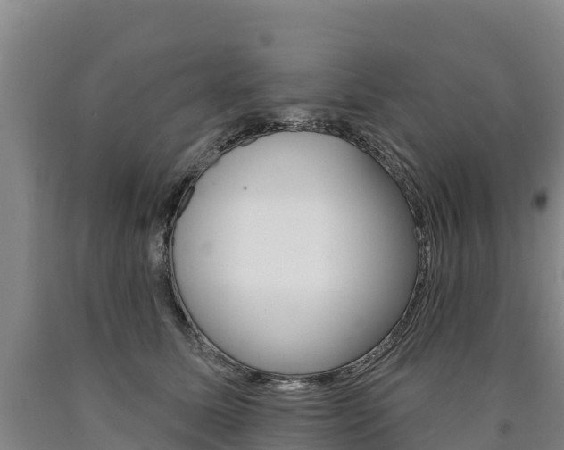 X0000090930611200707301116