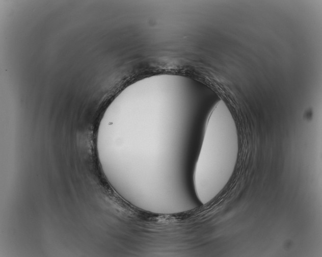 X0000090930612200707301116
