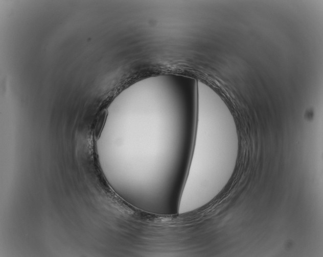 X0000090930613200707301116