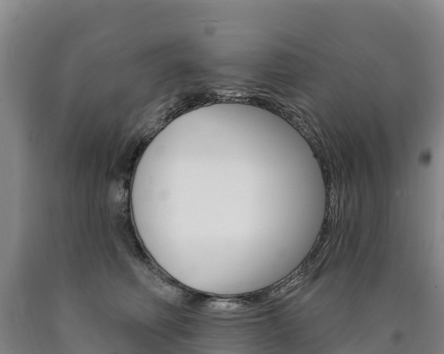 X0000090930614200707301116