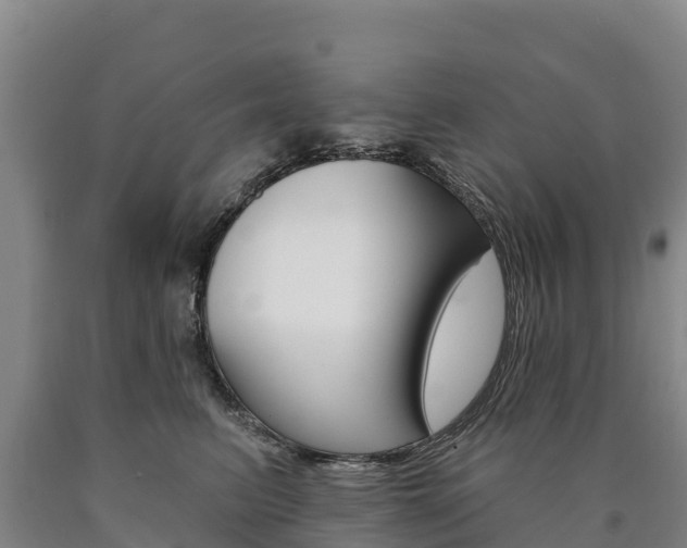 X0000090930615200707301116