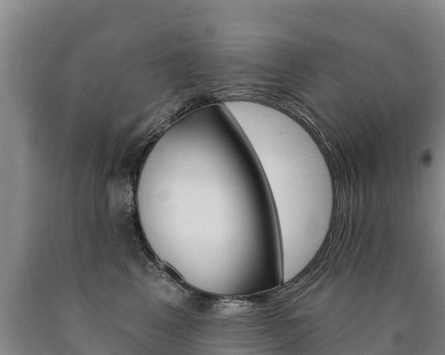 X0000090930617200707301116