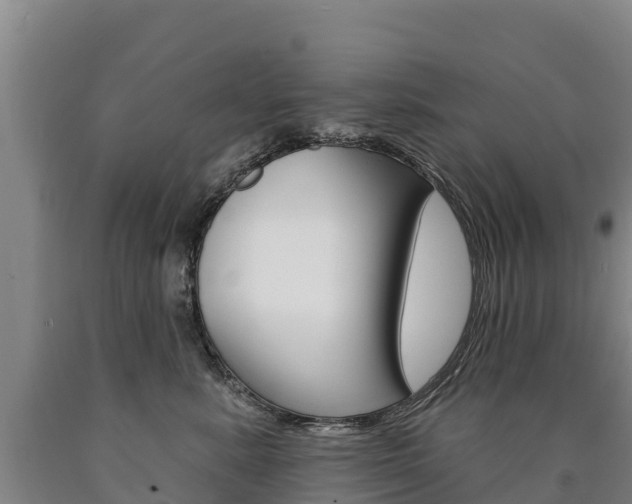 X0000090930619200707301116