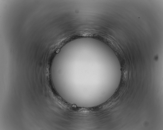 X0000090930620200707301116