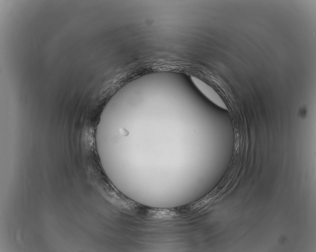 X0000090930621200707301116
