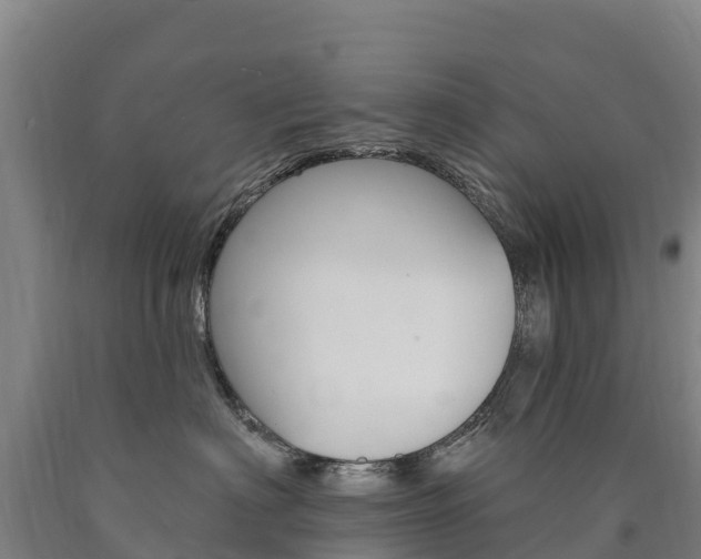 X0000090930622200707301116