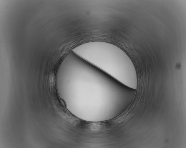 X0000090930623200707301116