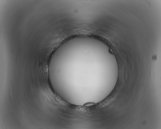 X0000090930624200707301116