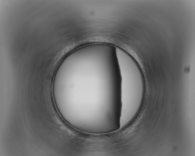 X0000090930625200707301115