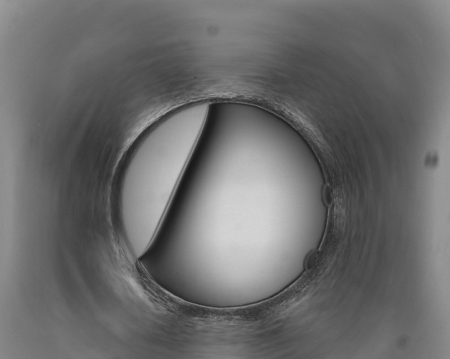 X0000090930626200707301115