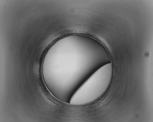 X0000090930627200707301115