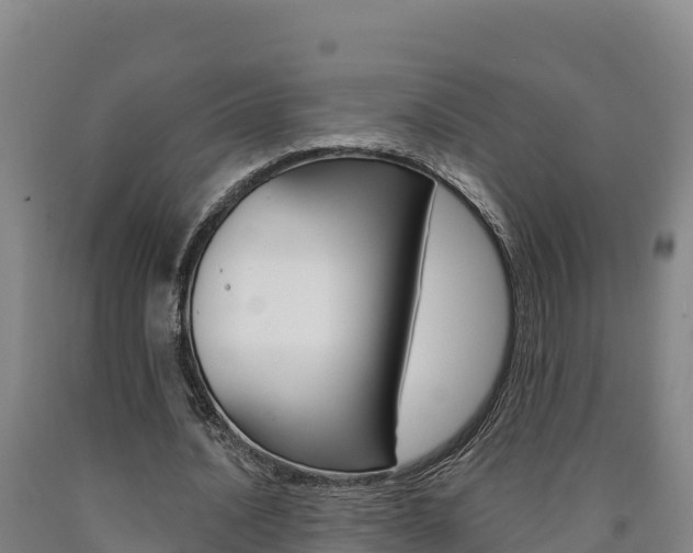 X0000090930628200707301115