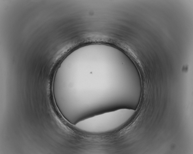 X0000090930629200707301115