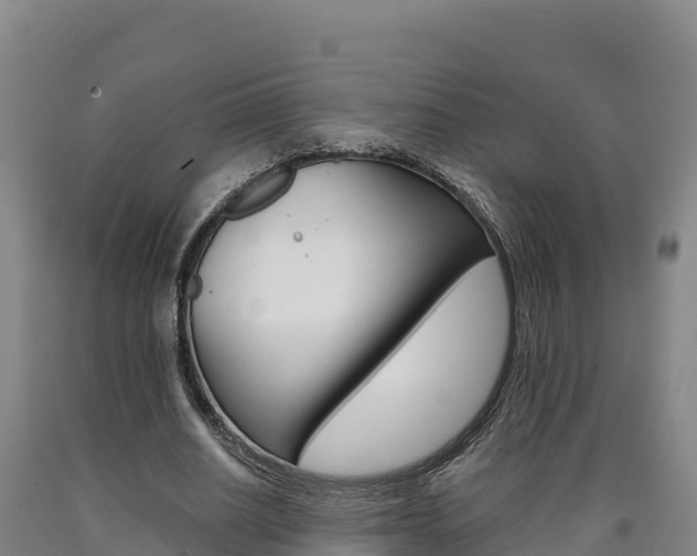 X0000090930630200707301115