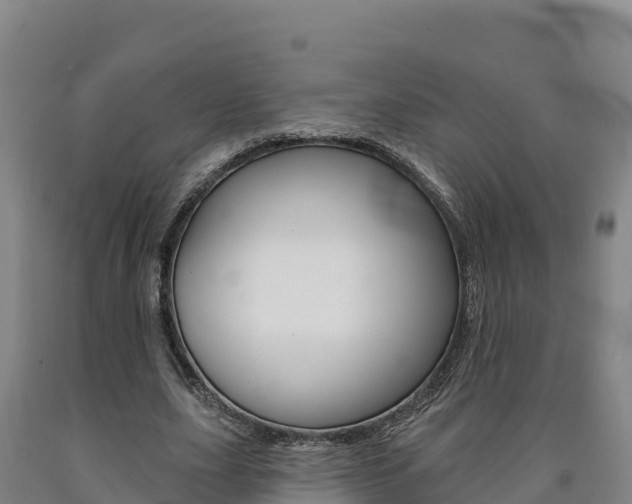 X0000090930631200707301115