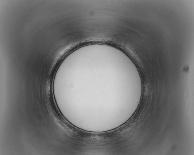 X0000090930632200707301115