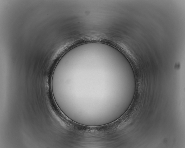X0000090930634200707301115