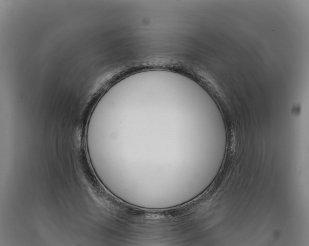 X0000090930636200707301115