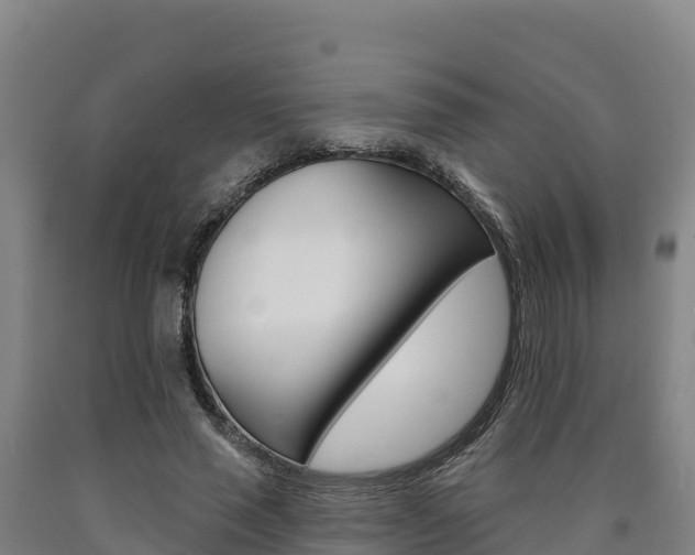 X0000090930637200707301115