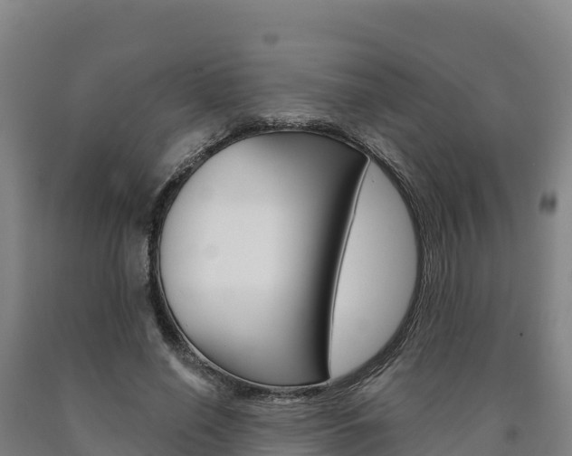 X0000090930638200707301115