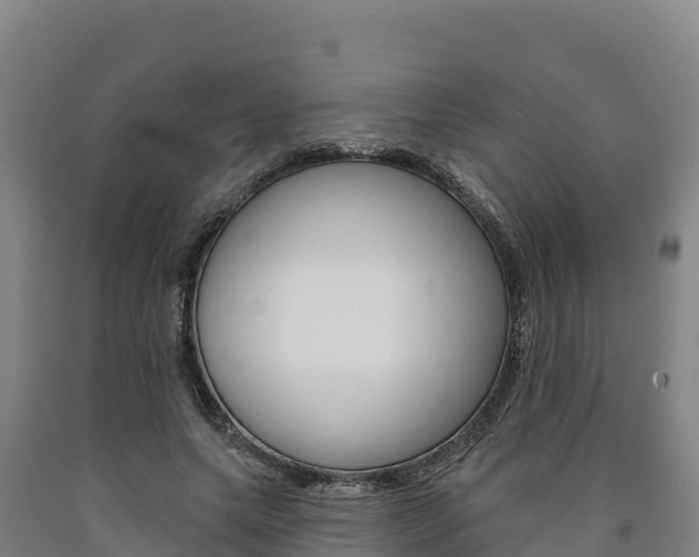 X0000090930639200707301115