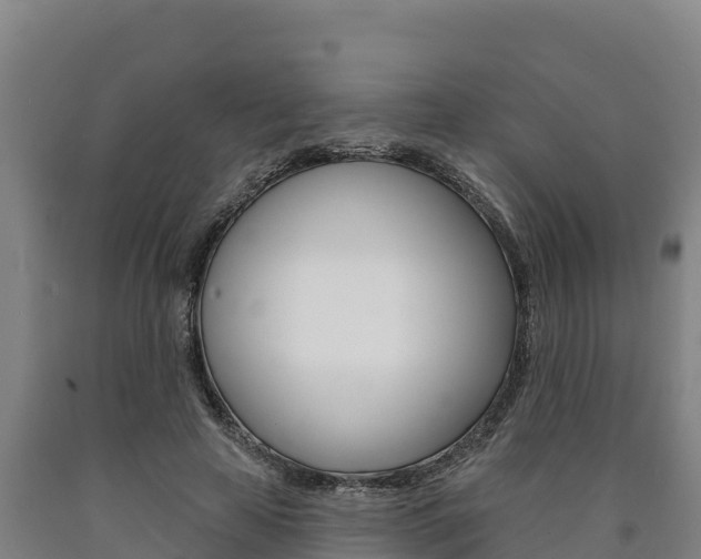 X0000090930641200707301115