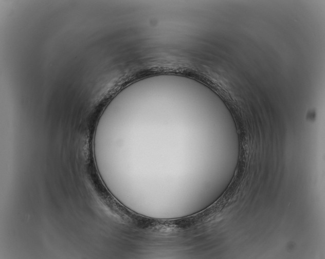 X0000090930642200707301115