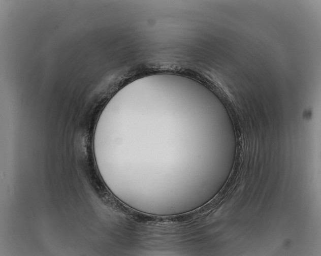 X0000090930643200707301115