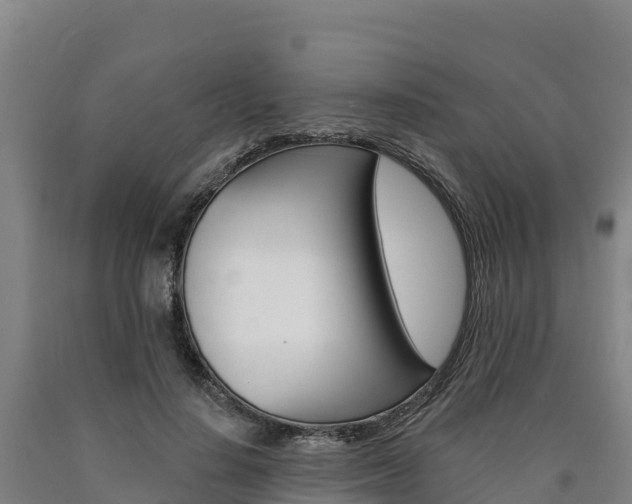 X0000090930644200707301115