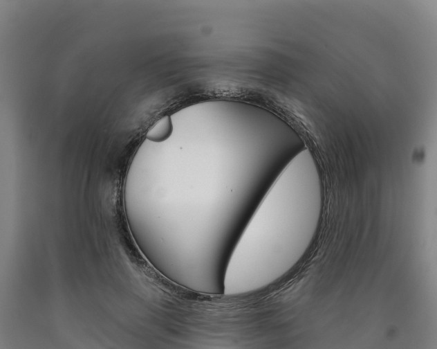 X0000090930645200707301115