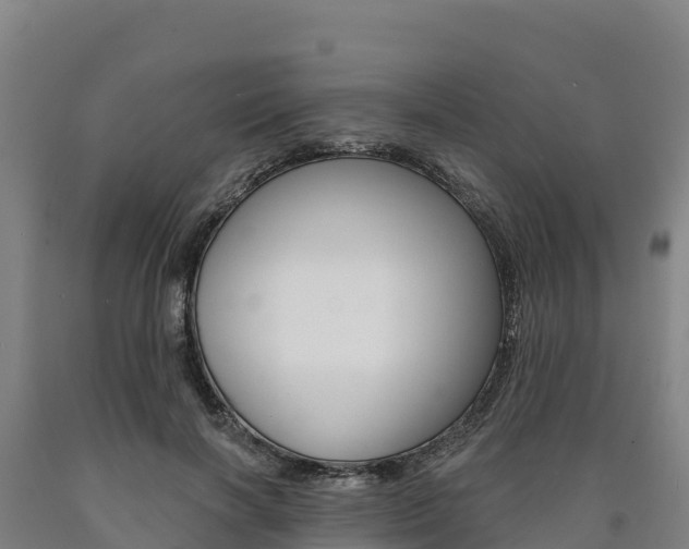 X0000090930646200707301115