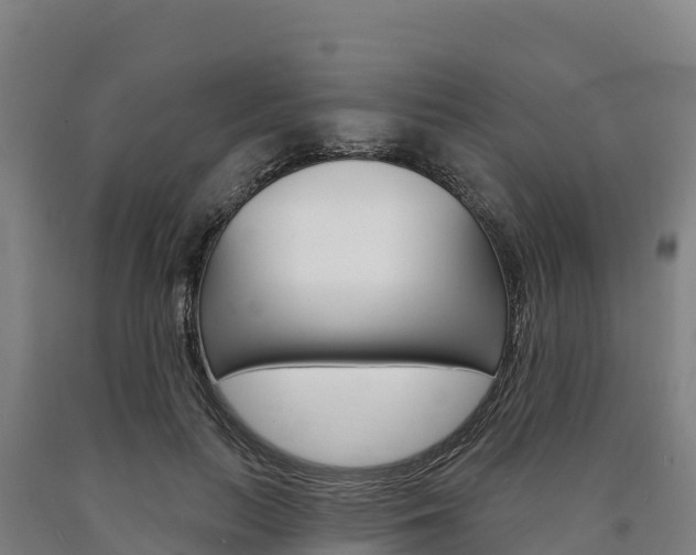 X0000090930647200707301115