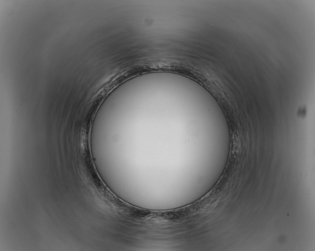 X0000090930648200707301115