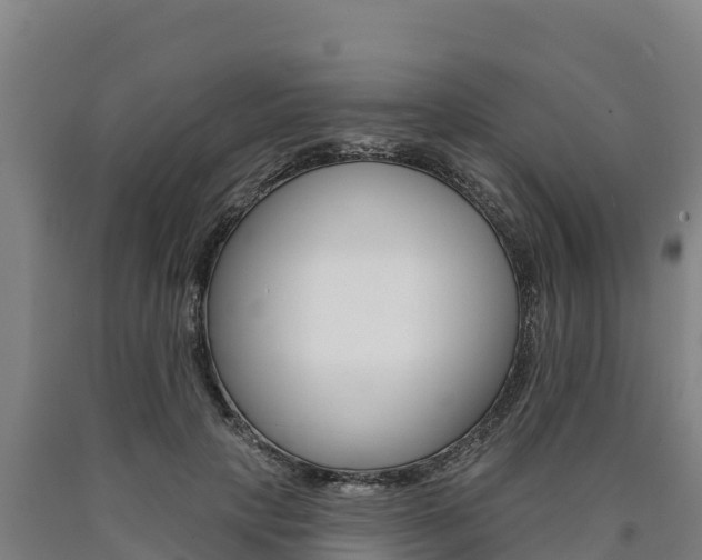 X0000090930649200707301115