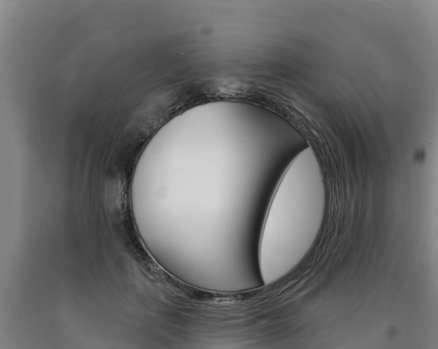 X0000090930651200707301115
